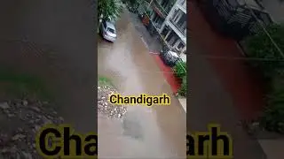 Heavy Rainfall In Chandigarh ⛈️⛈️🌧️☔ #viral #rain #shorts #chandigarh