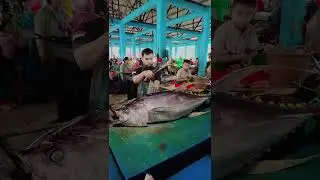 Tuna Giant Cut Live at Sorong Fish