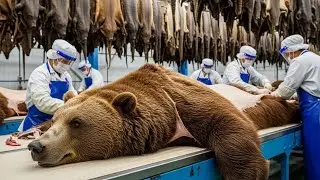 Inside the Bear Leather Factory &ndash; (Full Process) How Premium Luxury Jackets Are Made