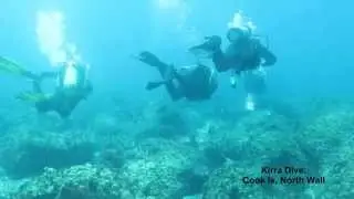 Diving with Kirra Dive North Wall