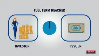 What Are Fixed Interest Investments and How Do They Work?
