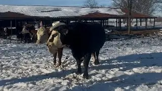 Divirtiéndonos en la nieve ❄️🥶☃️