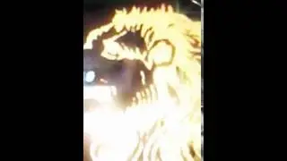 MOV047
