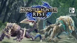 Monster Hunter Rise #42 [Switch]