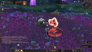TBC Anniversary launch! Drenai Paladin memes
