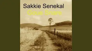 Raakvat Boogie