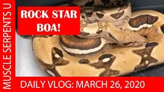 PARADIGM BLOOD BOA: OVERCOMING THE ODDS! March 26, 2020