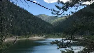 Carson National Forest 2017