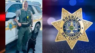 Arrest made in alleged assault of Sac County, IA sheriff