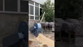 Weiwei machinery wood chipper crusher chips #farming #satisfying #agriculture  #machinerychannel