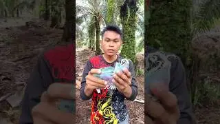 tidak ada targetnya disini geng tergantung dari kemampuan kita saja #shorts