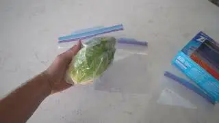 Ziploc Quart Food Storage Freezer Bags Review (Link Below 👇)