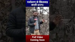 #viral #news #jharkhand #hazaribagh #short #shorts #news #panchayatnewss #panchayat #ntpc #polution