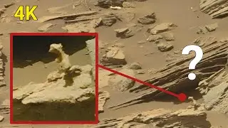 NASA Newly Released Images of Mars Life! Curiosity Rover Sends Remarkable View !