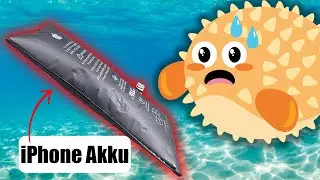 iPhone 8 sieht aus wie ein Kugelfisch: Akku Reparatur