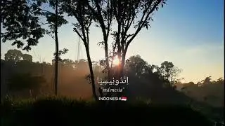 STORY WA 30 DETIK PAGI HARI \\ SHOLAWAT AL WABAA \\ STORY WA SHOLAWAT 30 DETIK
