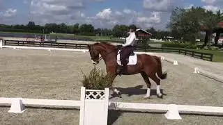 Won of a kind