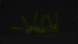 weird melon sandbox glitch