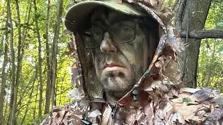 Mississippi Delta Deer hunt, my experience sitting 2 days under a persimmon tree