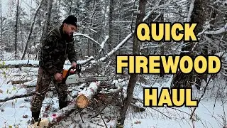 Quick Firewood Haul At The Cabin