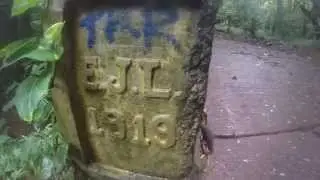 Old Pali Road