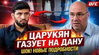Арман Царукян газует на Дану Уайта 😱 #арманцарукян #данауайт #юфс 