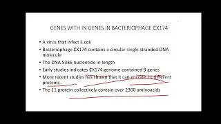 overlapping genes/ genes within genes