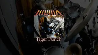 Tiger Punch - Hibria  #short #shorts #TigerPunch #Hibria #drumcover