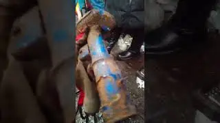 асоми Веста через 8 месяцев и 23000 км