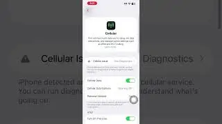 How To Turn Data Roaming On in iOS 26 RTM