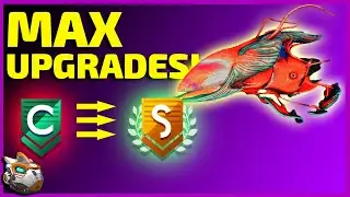How To Get Max Special Upgrades | No Man's Sky Living Ship Update Guide 2020