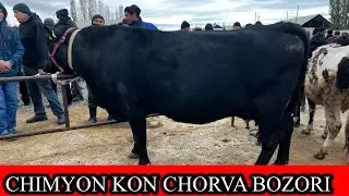 MINDON, XONQIZ , CHIMYON KON CHORVA  BOZORI. NARXLARI. 5 November 2025