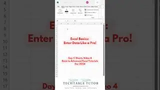 Excel Basics: How to Enter Data into Excel Cells! | Dec 2024 | Day 1, Video 4🔡 #excel #exceltutorial