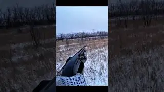Winter Season White Rabbit | Ultra Close-up Shot#winterseason #chase #hunting #snowhunting