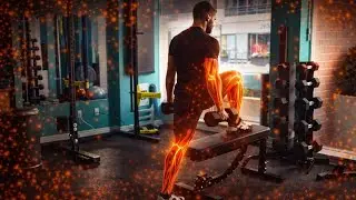 Dumbbell Step Up Movement Demo