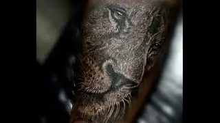 REALISTIC LION TATTOO