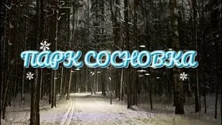 ✨LIFE. Прогулка по парку Сосновка. Санкт-Петербург ❄️