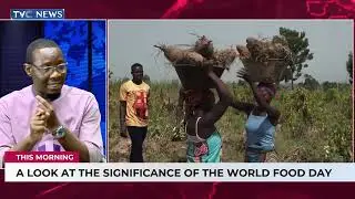 Smallholder Farmers Are Facing Financial Challenges: A look At Significance Of World Food Day