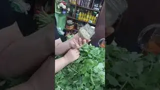 Această  planta tamadueşte  mii de boli. Are mii de beneficii Tu stiai?