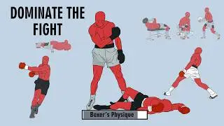 The Physique of a Boxer