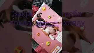 Песик історія про уроки #Dog#school#homework#video