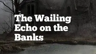 The Wraith's Rescue: Mother's Sacrifice and the Dog's Dark Warning | True Horror Story)