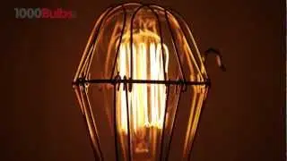 Victorian Style Antique Light Bulb - 25 Watt - 4-Loop Filament