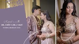 Wedding Highlight | Dr Rajeev  Daughter | Dr. Aditi X Dr. Ankit | The Wedding Dot | Royal Color Lab