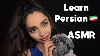 ASMR Learn 50 Farsi Words for Beginners | Learn & Sleep | Personal Attention #asmr