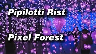 Pipilotti Rist - Pixel Forest - New Museum - Preview