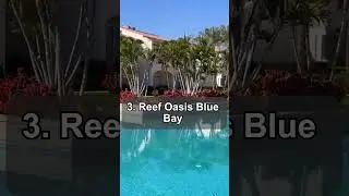 Top 5 WINTER HOTELS in SHARM EL SHEIKH, Egypt