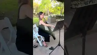 Cellist Plays 