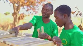 Apiculture/beekeeping at Shalom Farms 1 in Mchinji, Malawi