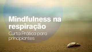 Mindfulness na Respiração - Atenção Plena - curta prática para principiantes